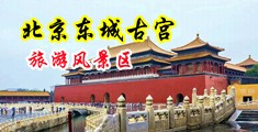 黑丝美女被操视频网站中国北京-东城古宫旅游风景区
